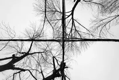 Billion Casino Mobil App